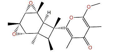 Elysiapyrone B